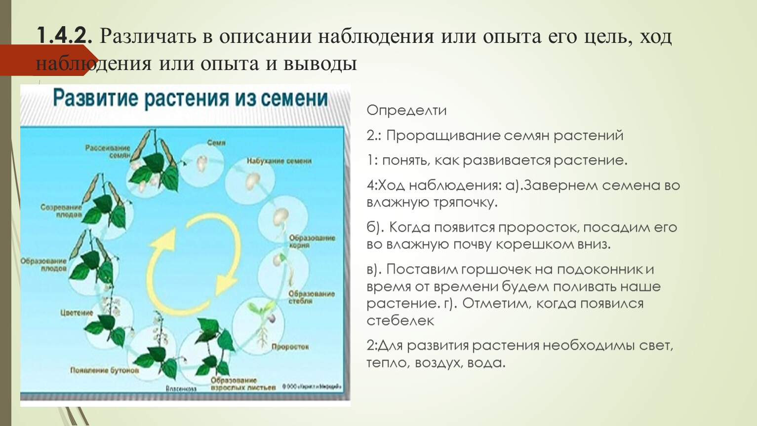 Описание наблюдение. Цель описания и наблюдения опыта. Ход наблюдения. Я различаю в описании наблюдения или опыта их цель ход и выводы. Опыт или наблюдение по окружающему миру 2 класс.