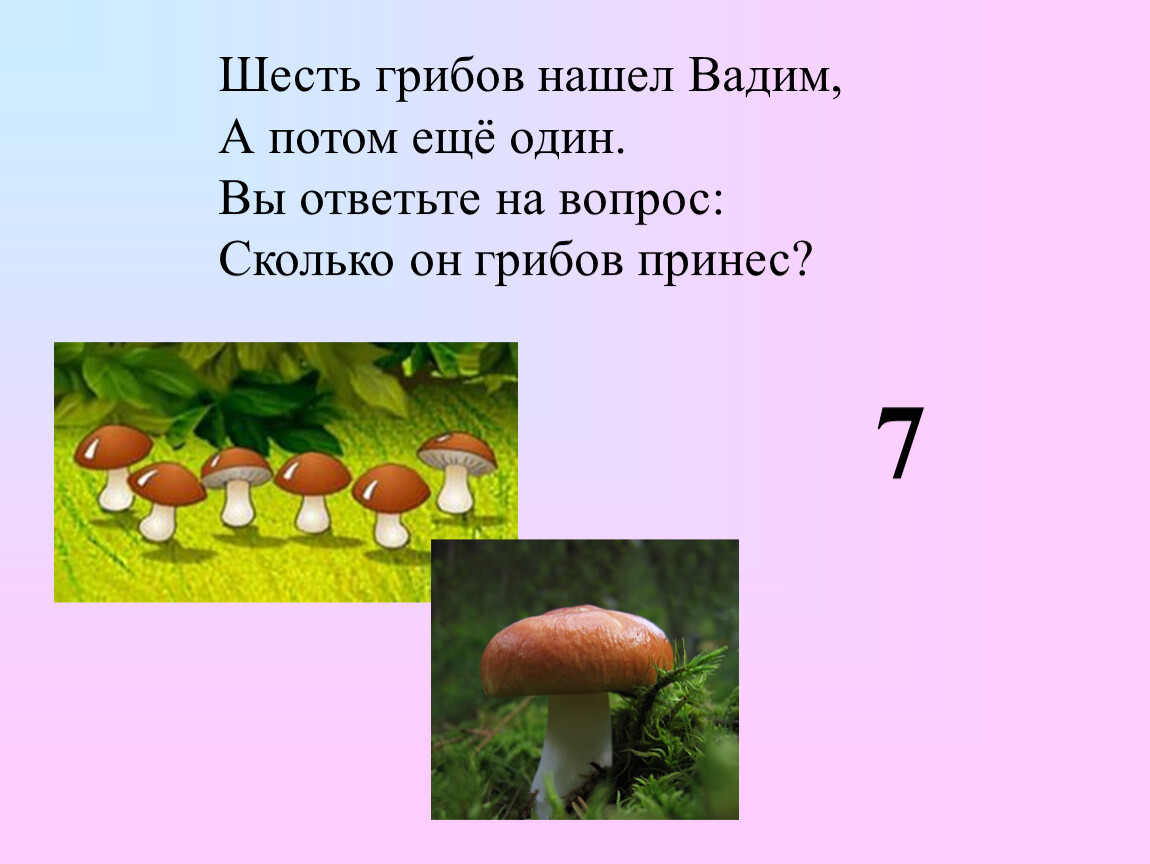Сколько классов грибов. 6 Грибов. Гриб ответит на вопрос. Шесть классов грибов.