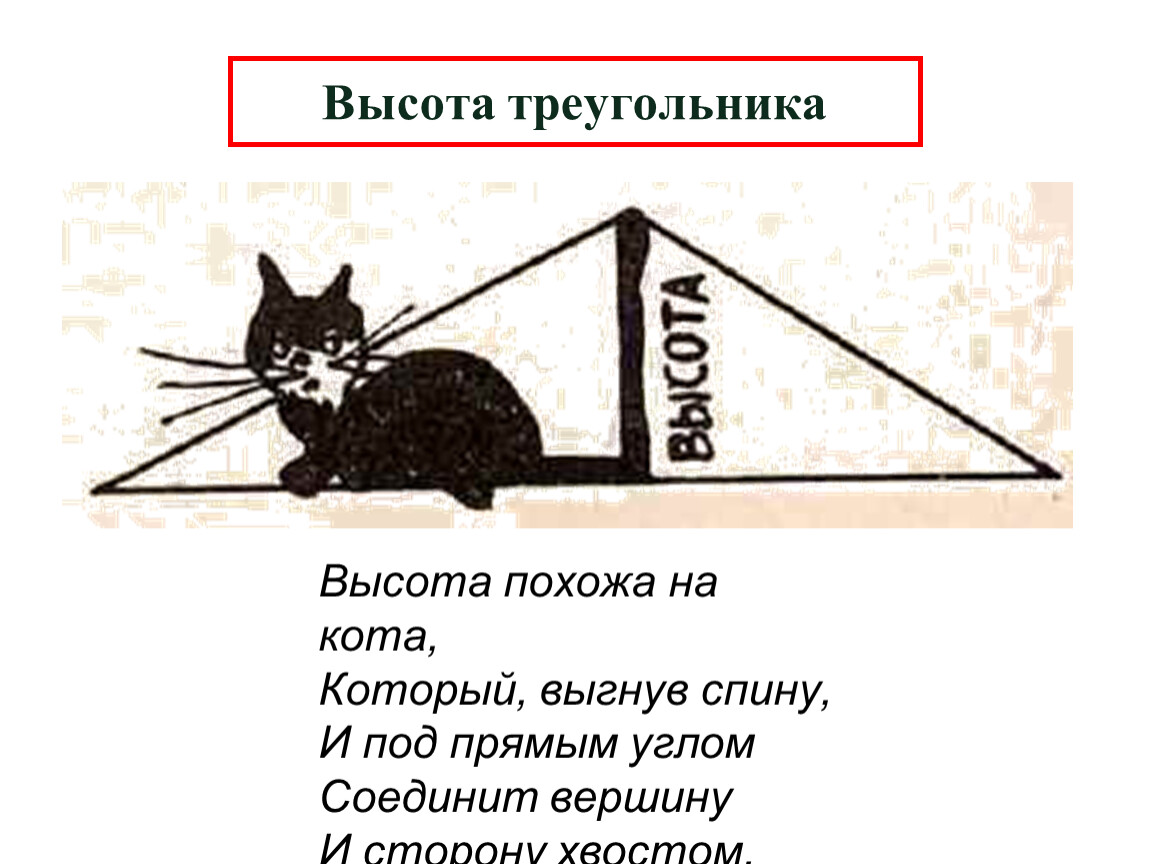 Три кота на мясо. Высота стих. Высота похожа на кота который выгнув. Высот похожа на кота который выгнув спину. Высота это стишок.