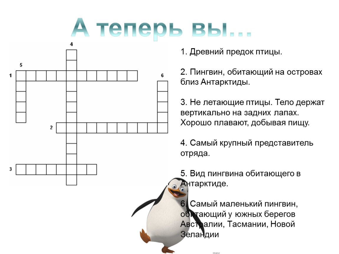 Водоплавающая птица кроссворд тезка приема. Класс птицы отряд пингвины 7 класс биология. Отряд пингвины 7 класс биология. Кроссворд про птиц. Кроссворд про птиц с ответами.