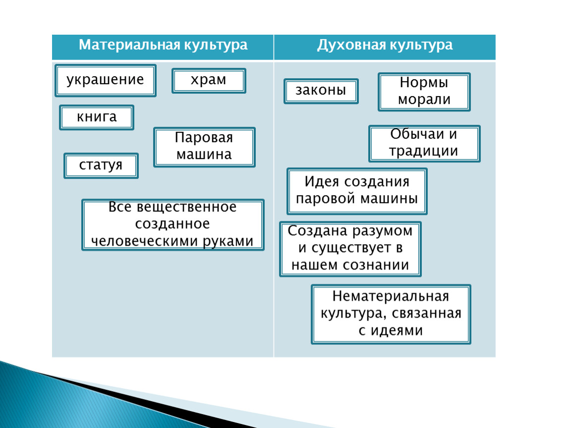 Обществознание. Формы культуры