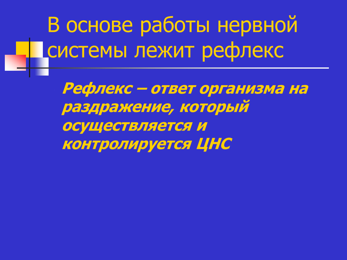 Рефлексов лежащих в основе. Ответ организма на раздражение. Что лежит в основе работы нервной системы человека. Что лежит в основе нервной системы.