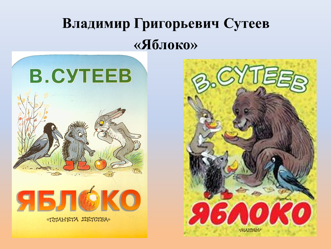 Сутеев яблоко. «Яблоко» Владимир Григорьевич Сутеева. Владимира Григорьевича Сутеева яблоко обложка. Сказки Сутеева список. Сутеев яблоко презентация.