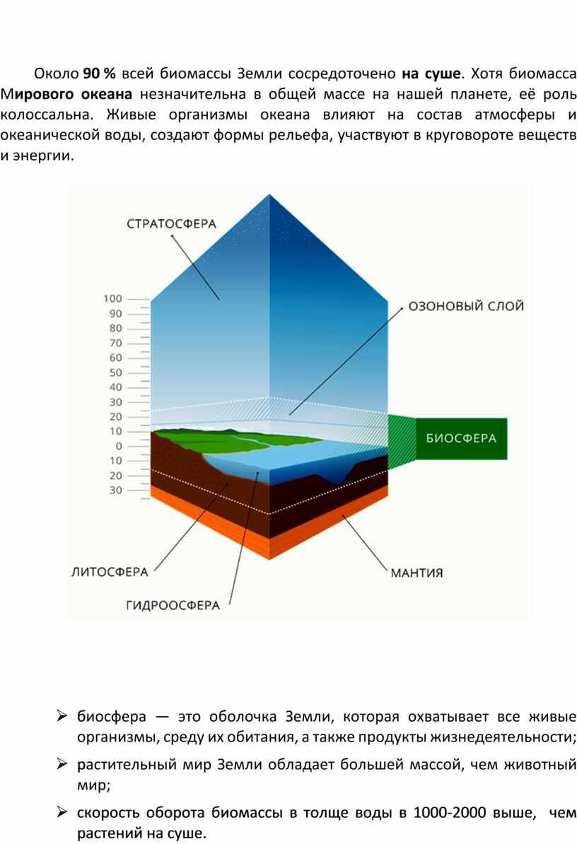 Что называют биосферой каковы особенности биосферы. Биосфера. Структура и свойства биосферы. Биомасса биосферы. Состав биосферы таблица.