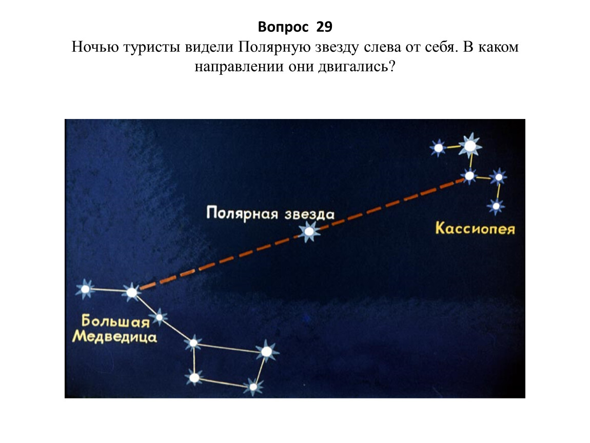 Сколько полярных звезд. Созвездие полярной звезды медведицы и Кассиопеи. Полярная звезда от ковша большой медведицы. Большая Медведица Кассиопея и Полярная звезда. Созвездие Кассиопея и большая Медведица.