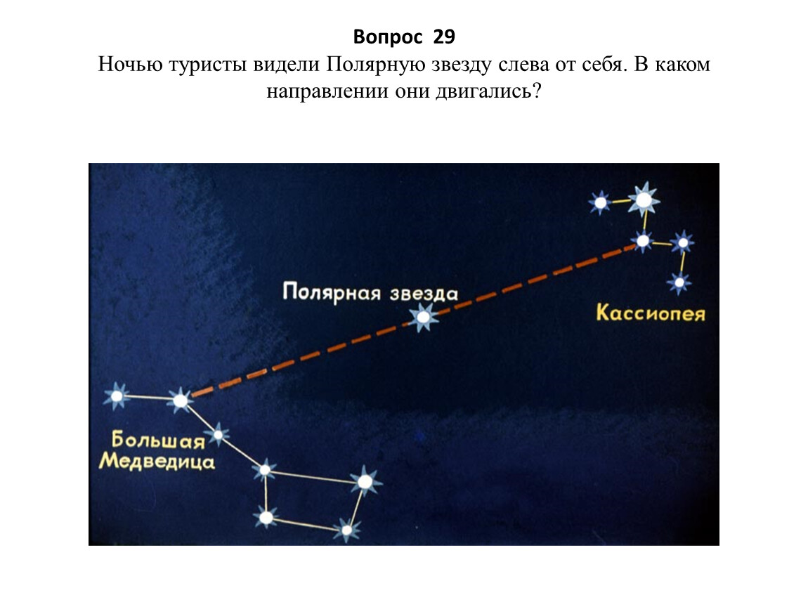 Большая медведица находится. Созвездие полярной звезды медведицы и Кассиопеи. Полярная звезда от ковша большой медведицы.