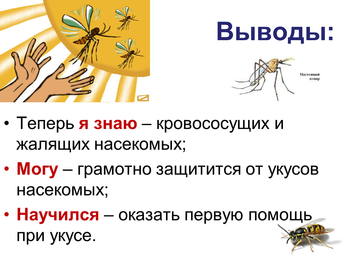 Тема укусы насекомых. Укусы насекомых и защита от них. Укусы насекомых и защита от них ОБЖ.