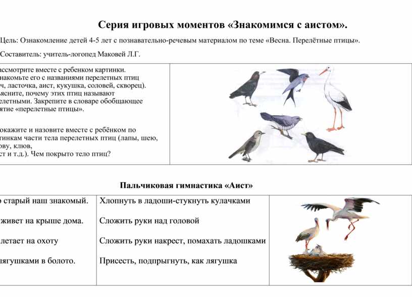 Векторы по запросу Аист