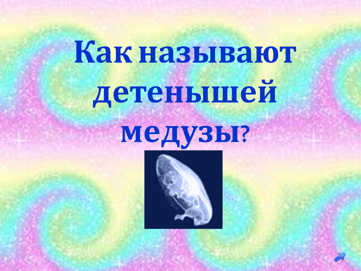 Как называют детенышей медузы?