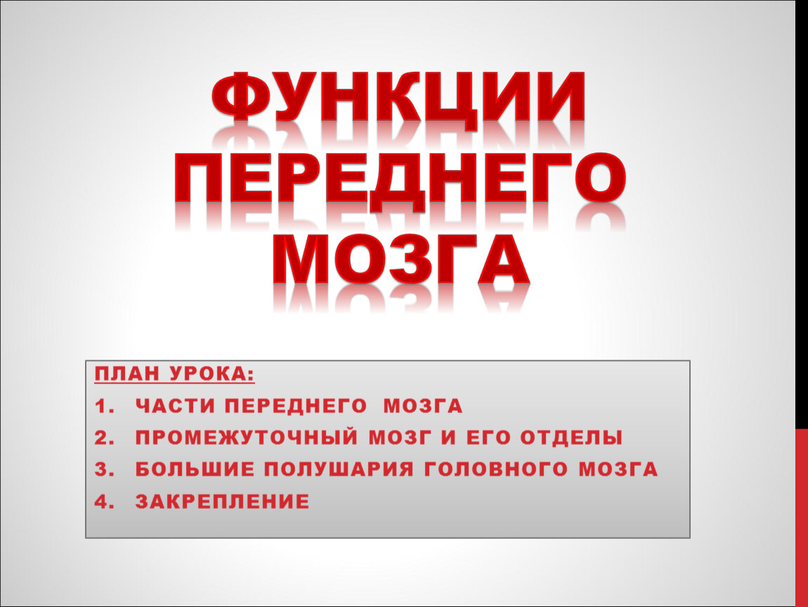 Какую функцию выполняет передний мозг. Передний мозг функции. Функции переднего могза. Функции переднего мощна. Передний мозг строение и функции.