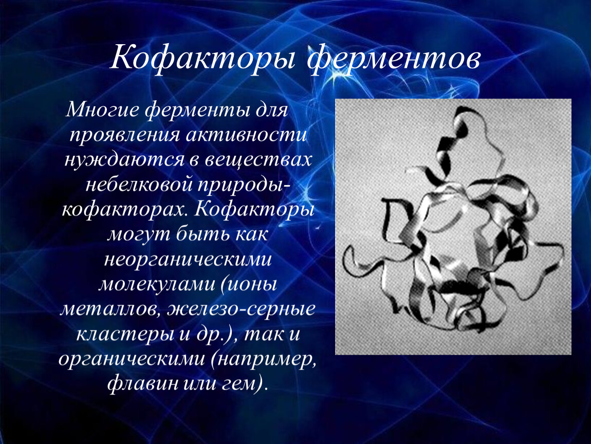 Ферменты реферат. Кофакторы ферментов. Железо кофактор ферментов. Кофакторы ферментов: ионы металлов. Кофактор фермента это.