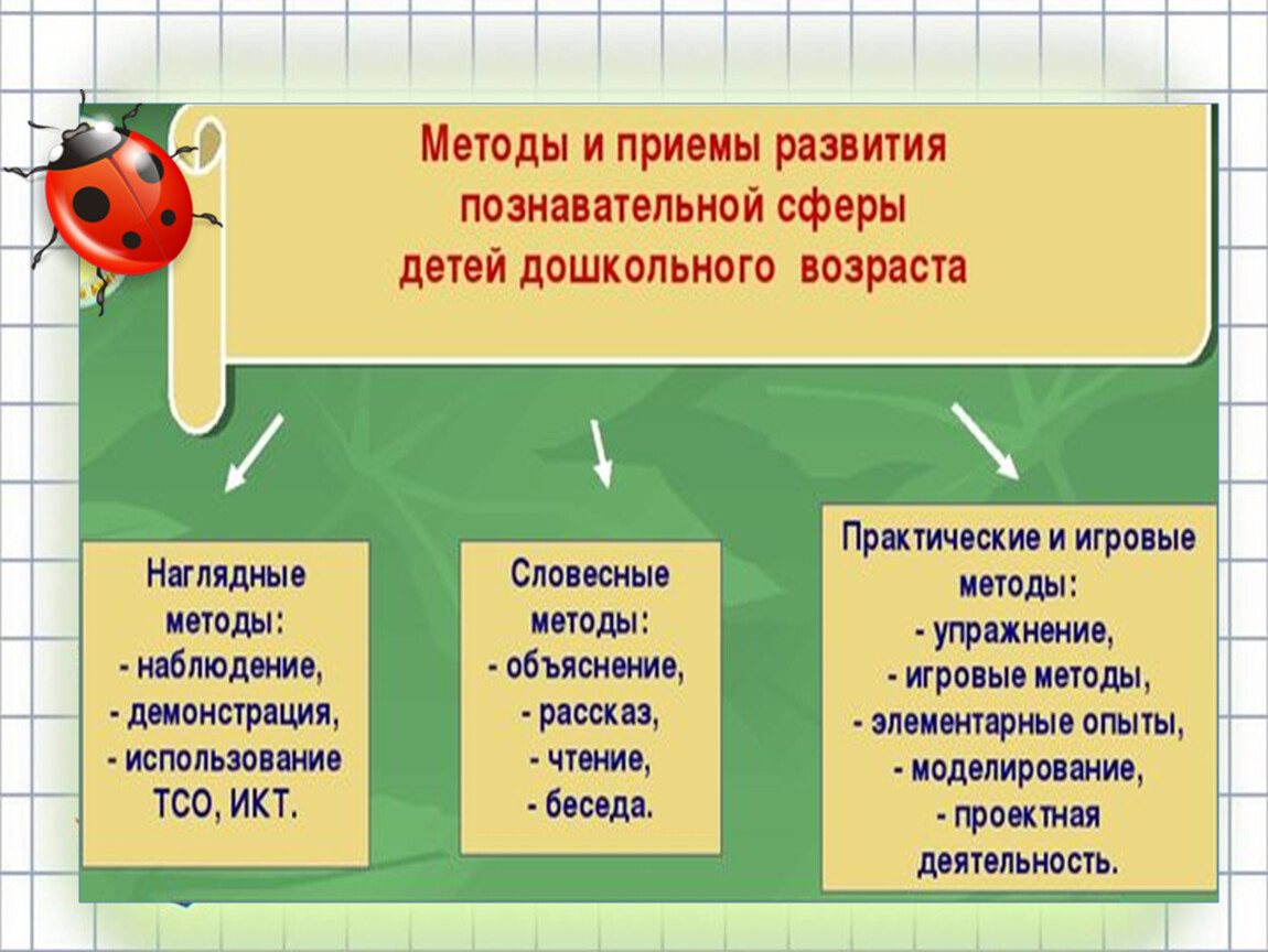 Сфера познавательной деятельности. Познавательная сфера дошкольника. Развитие познавательной сферы дошкольника. Развитие познавательной сферы в дошкольном возрасте. Когнитивная сфера в дошкольном возрасте.