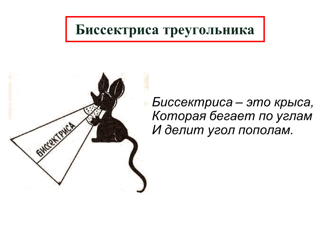 Медиана треугольника делит угол пополам. Биссектриса это крыса. Стих про биссектрису. Крыса бегает по углам и делит угол пополам. Крыса делит угол пополам.