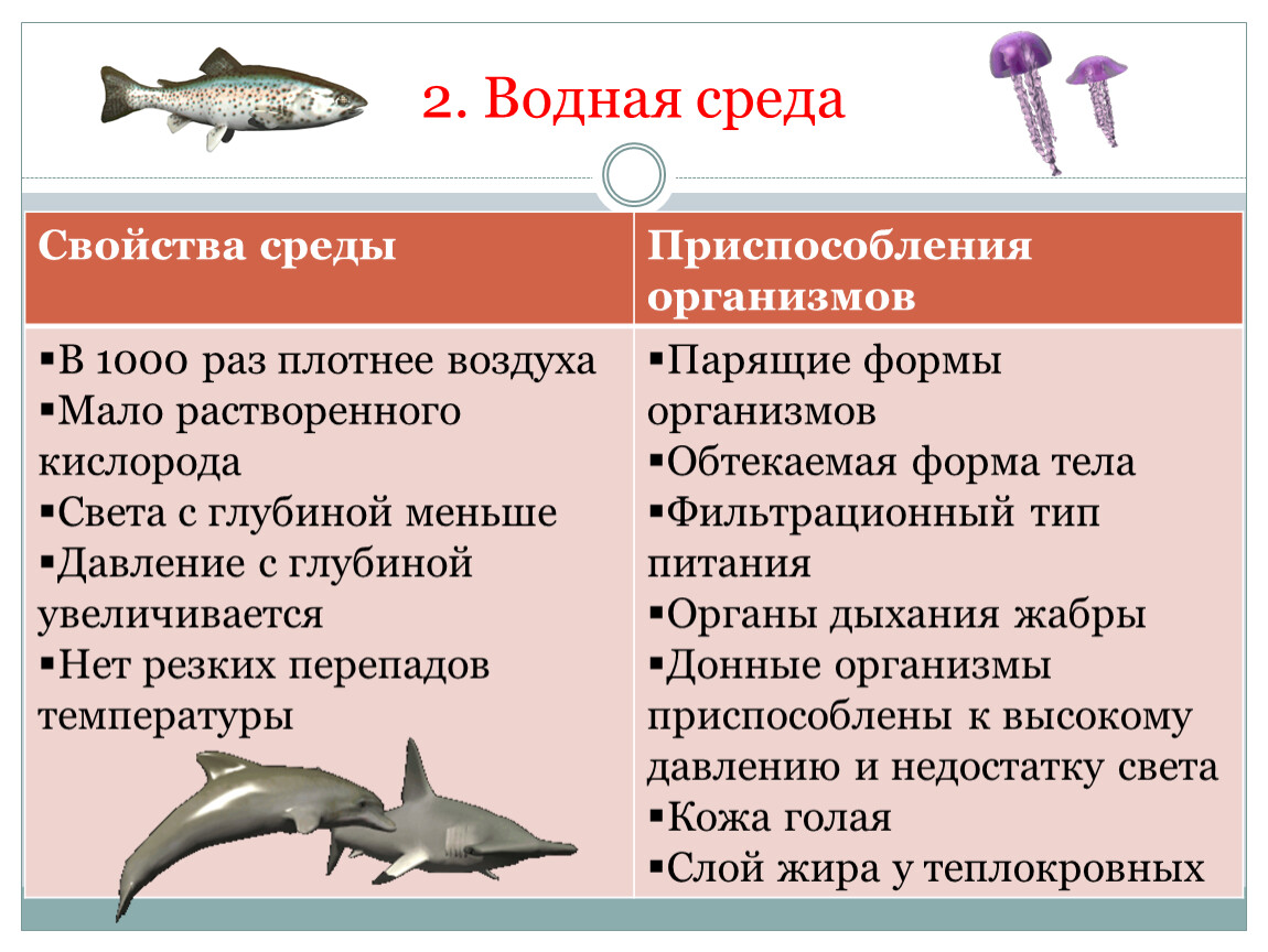 Рыбы условия жизни. Условия водной среды обитания. Организмы обитающие в водной среде. Специфика водной среды обитания. Приспособления к водной среде обитания.