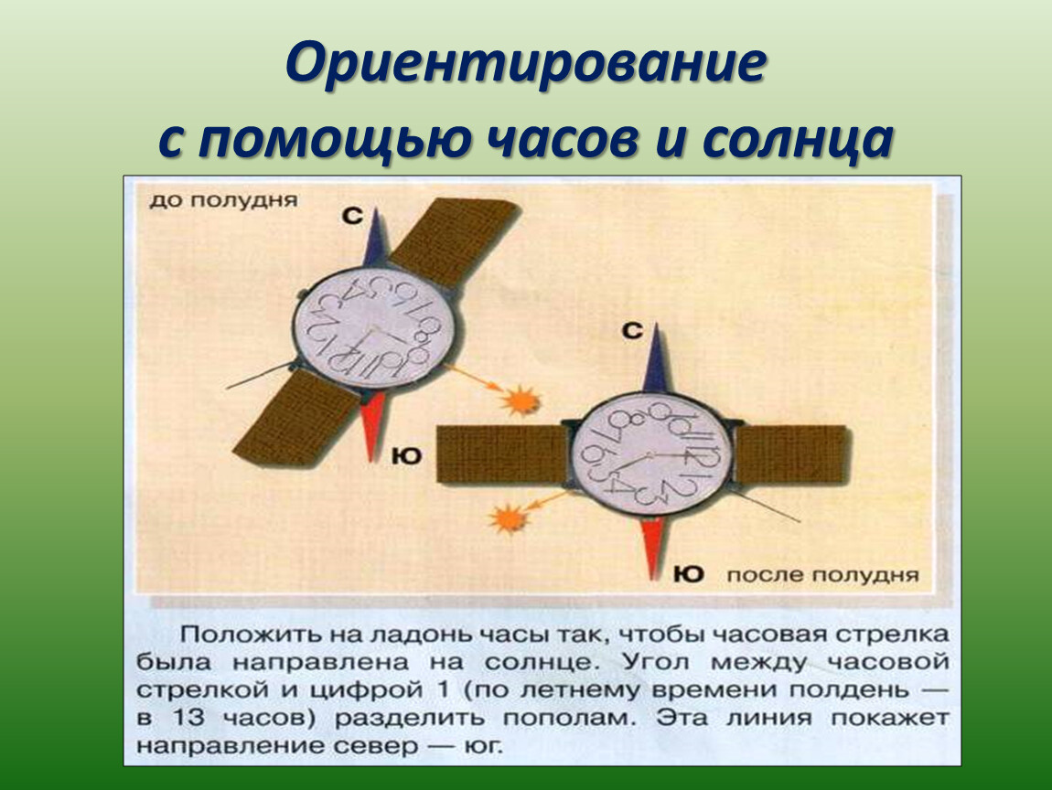 Солнечная ориентация. Ориентирование на местности. Способы ориентирования. Ориентировка по компасу в лесу. Ориентирование на местности по компасу кратко.