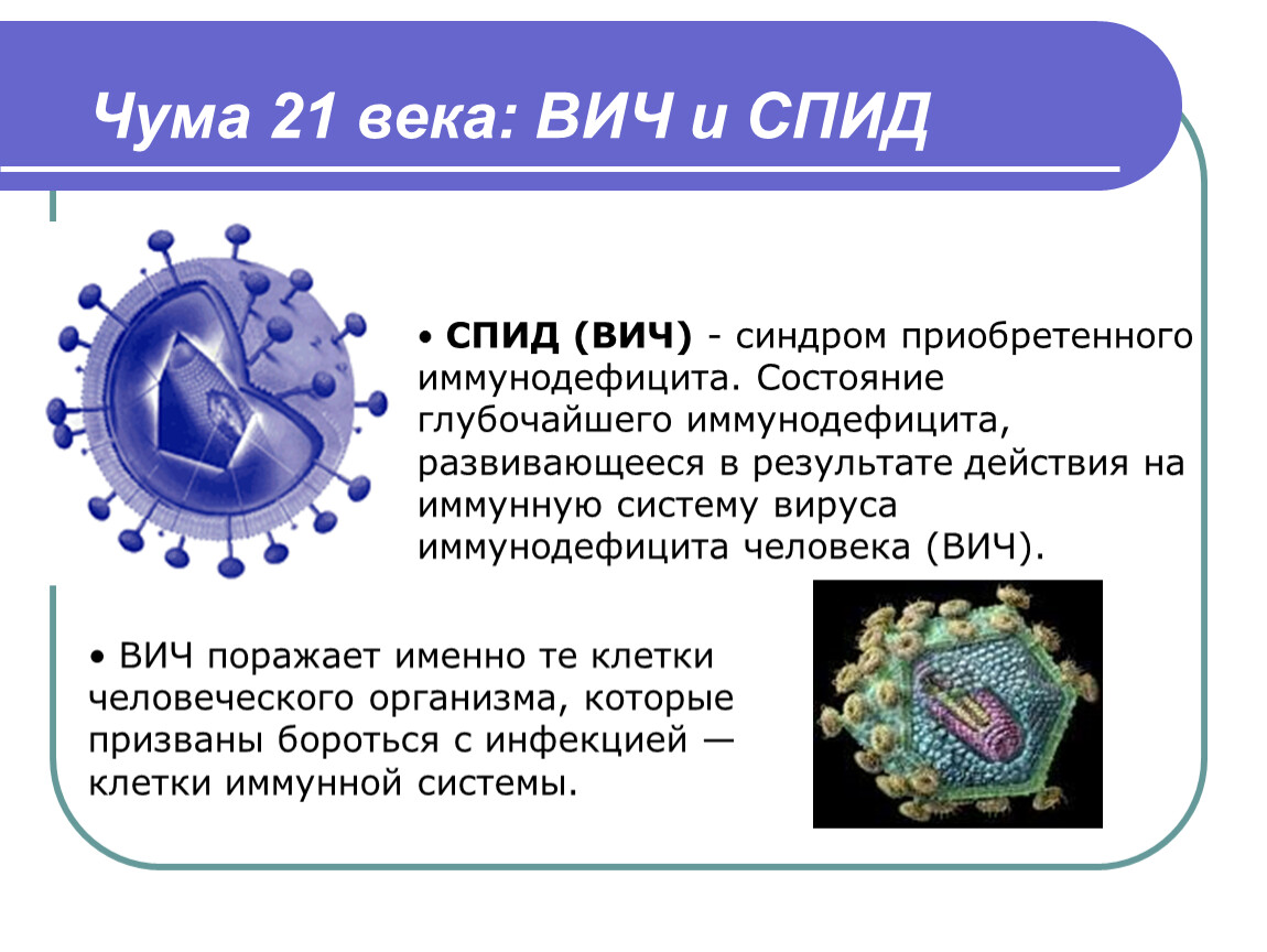 Проект на тему спид чума 21 века