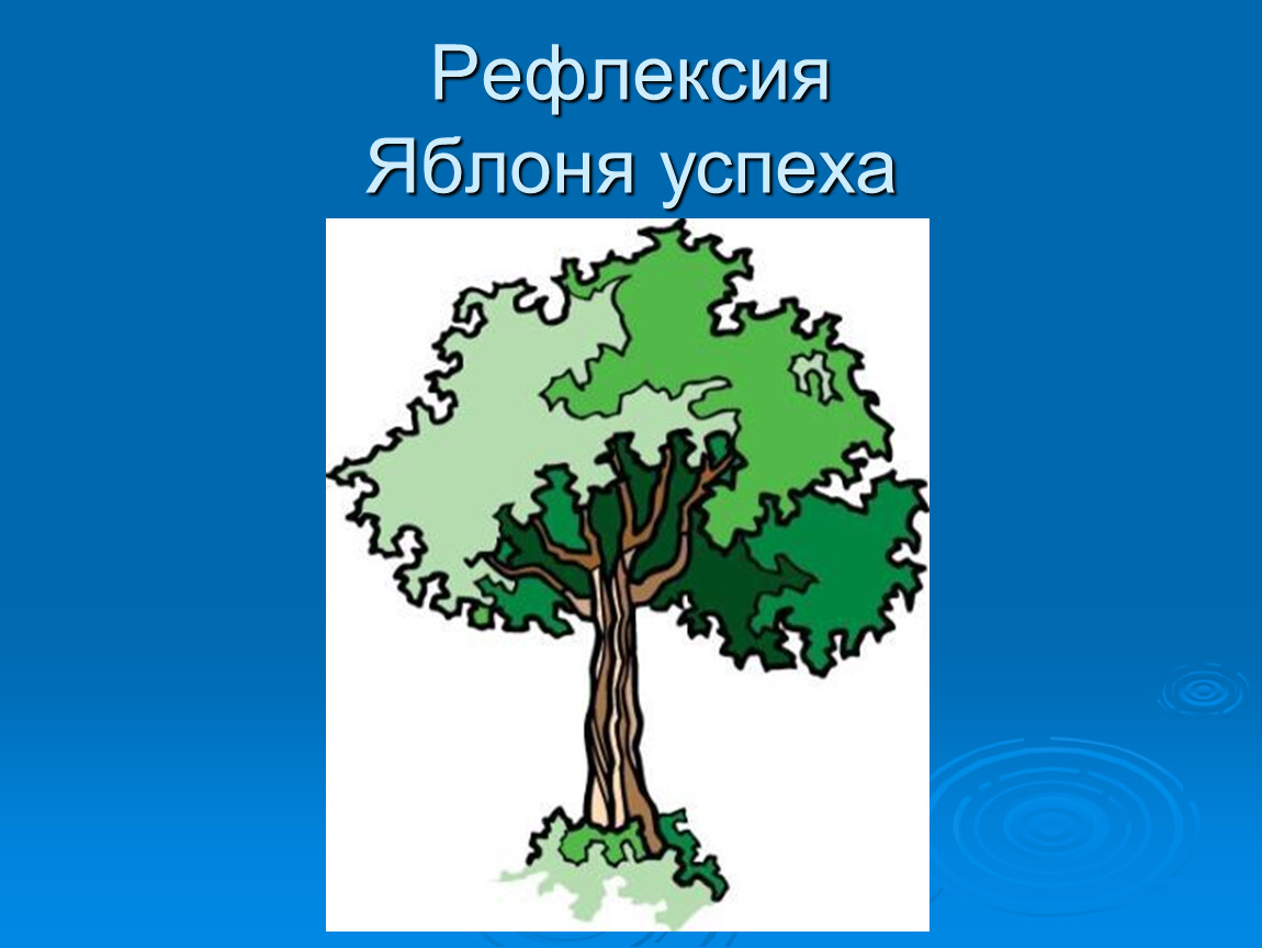 Рефлексия Яблоня успеха