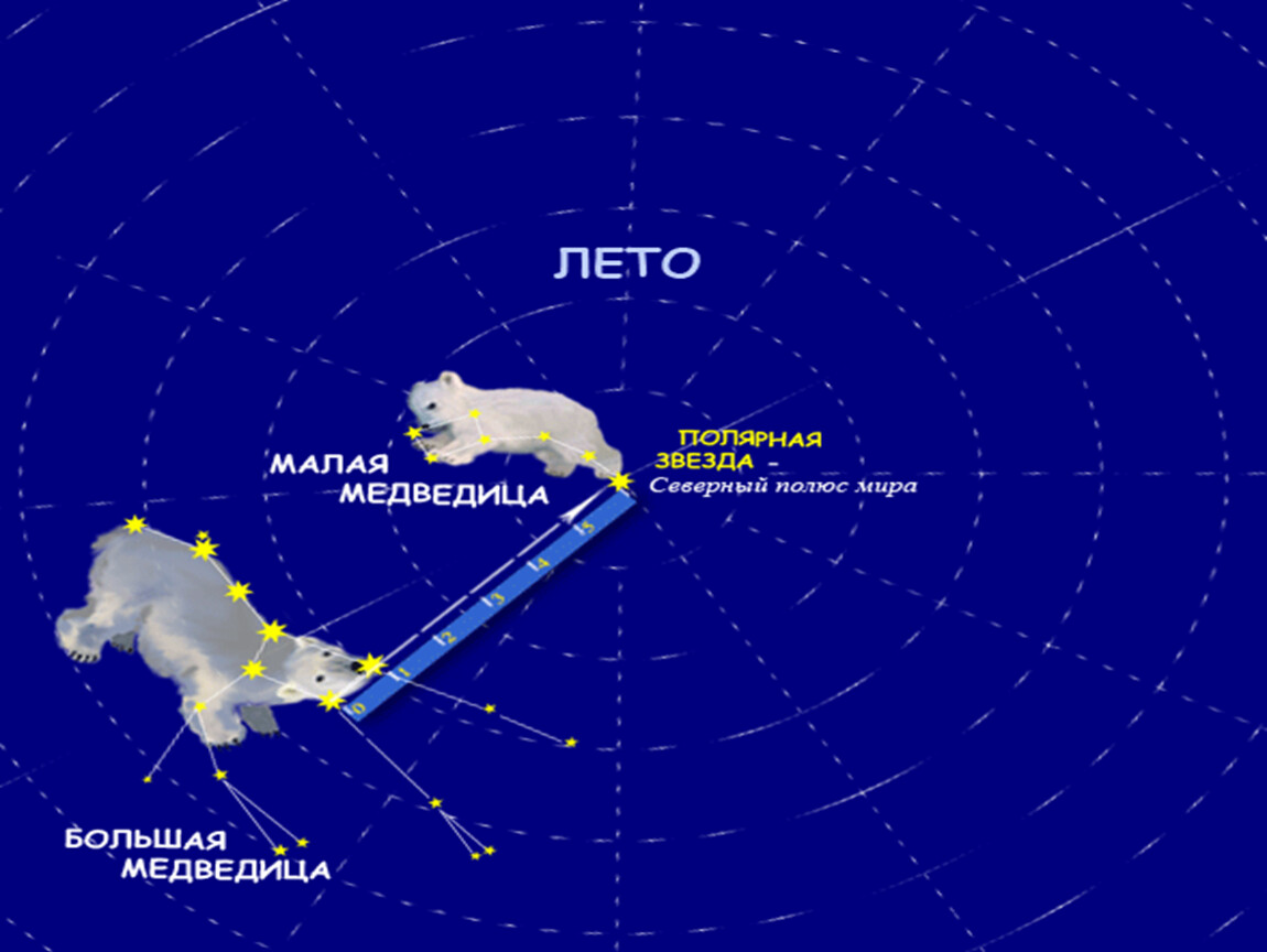 Звезды большой медведицы. Полярная звезда в малой Медведице. Полярная звезда в созвездии малой медведицы. Полярная звезда и малая Медведица 2 класс. Расположение созвездий большая Медведица и малая Медведица весной.