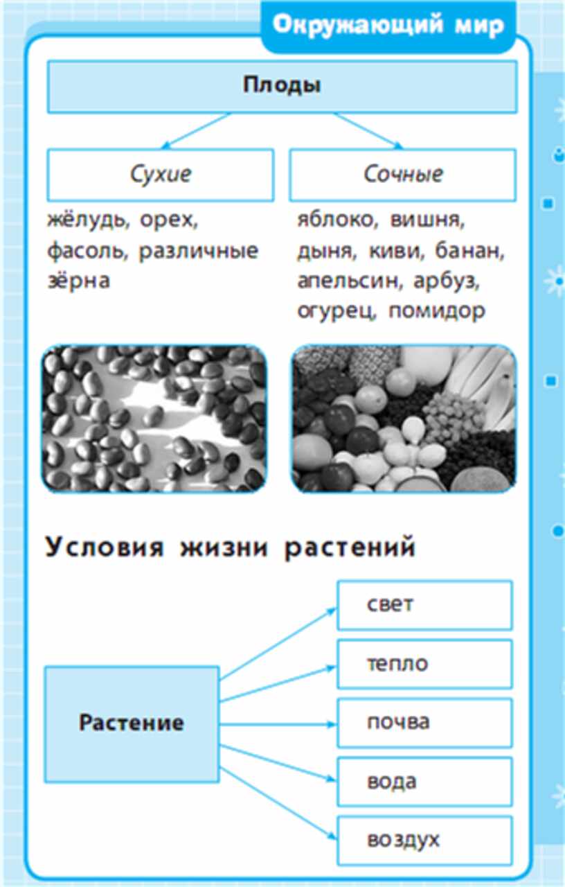 Окр мир таблица. Окружающий мир начальная школа в таблицах. Таблица по окружающему миру. Таблицы по окружающему миру для начальной школы. Окружающий мир схема.