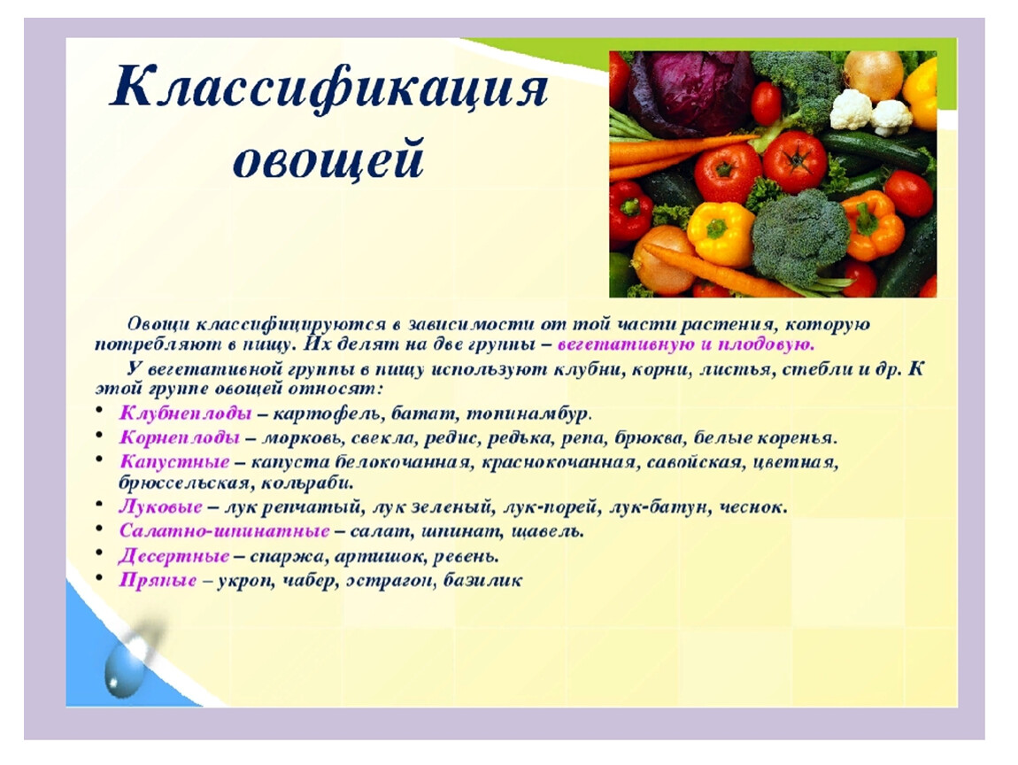 Требование к хранению овощей. Классификация овощей. Овощи для презентации. Классификация плодоовощных товаров. Классификация свежих плодов и овощей.