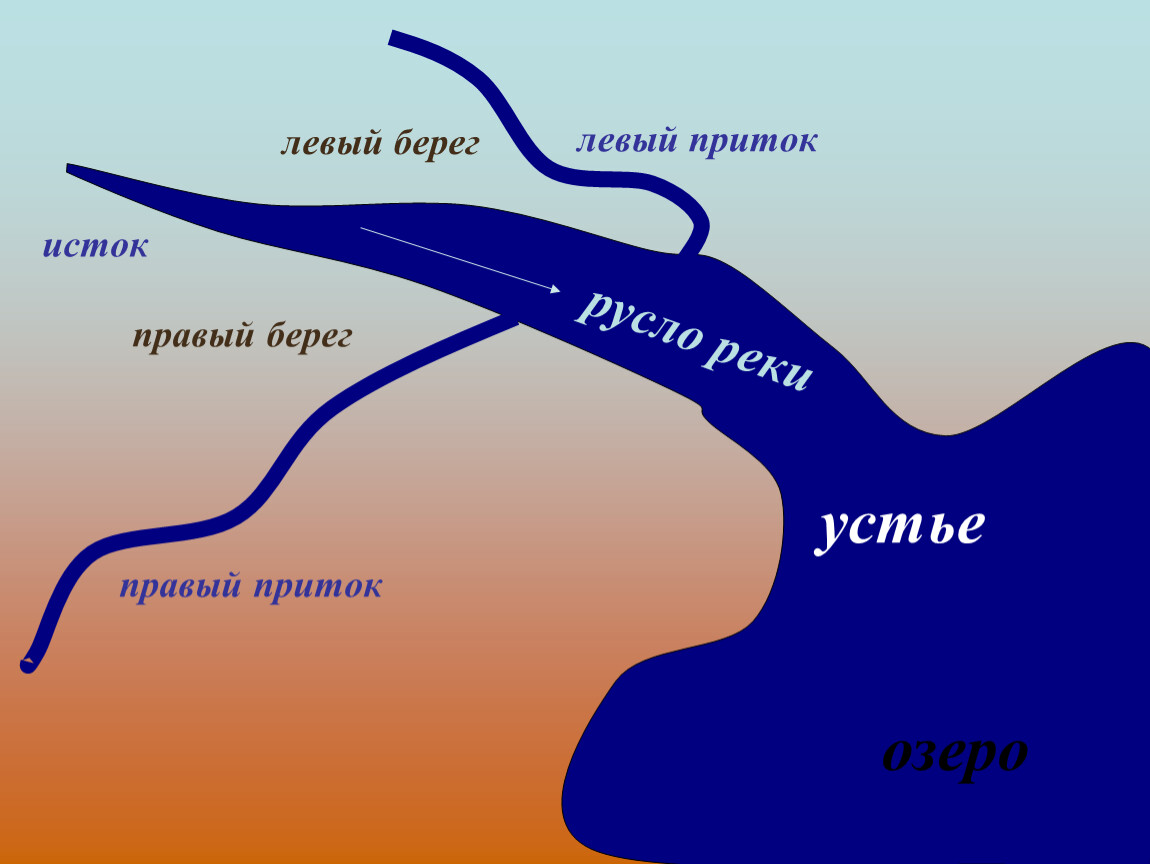 Строение реки рисунок