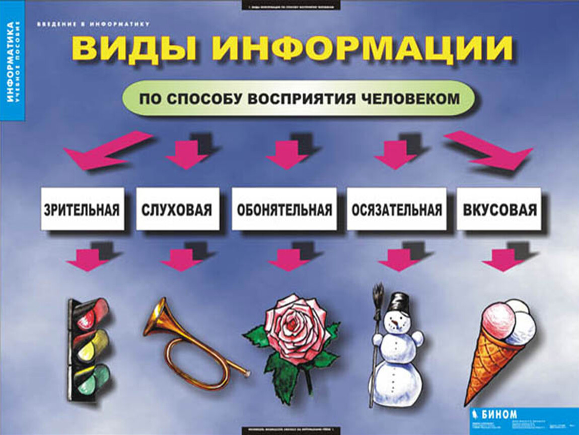 Основные способы информации. Виды информации. Информация виды информации. Информация по способу восприятия. Виды информации по способу восприятия человеком.