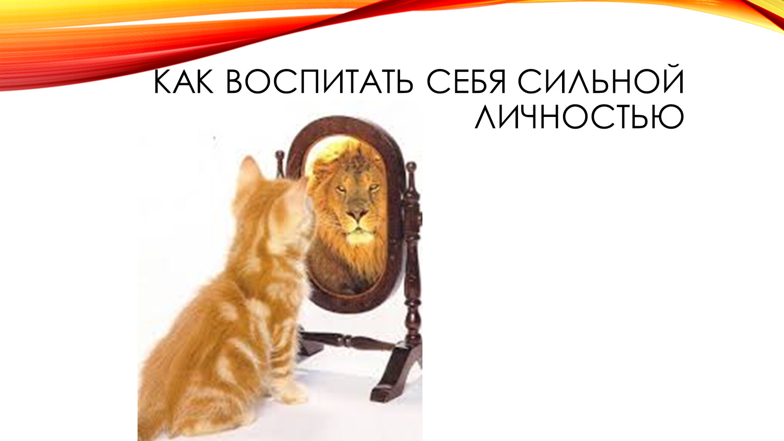Лев в зеркале