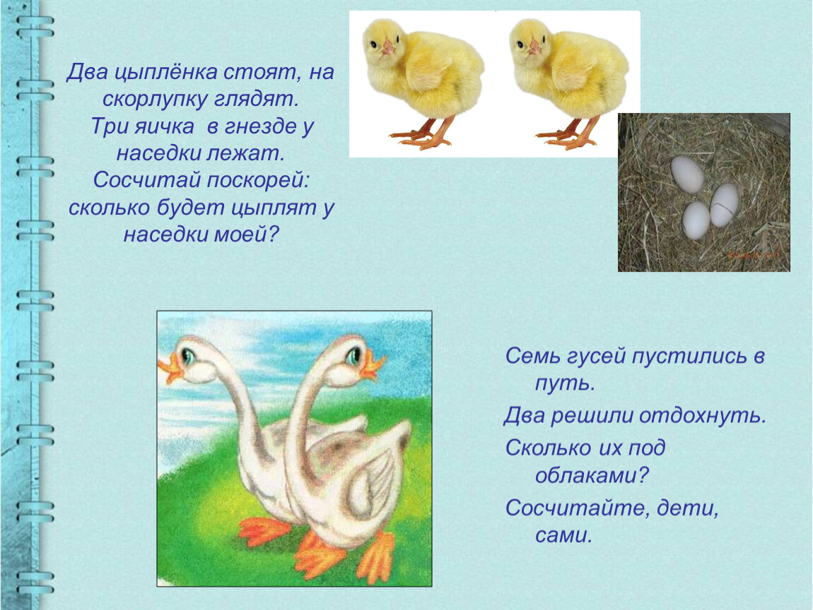 Составь по рисунку рассказ про цыпленка придумай. Три цыпленка стоят на скорлупки глядят. Загадка про цыпленка. Загадки отгадка цыпленок. Сосчитай сколько цыплят.