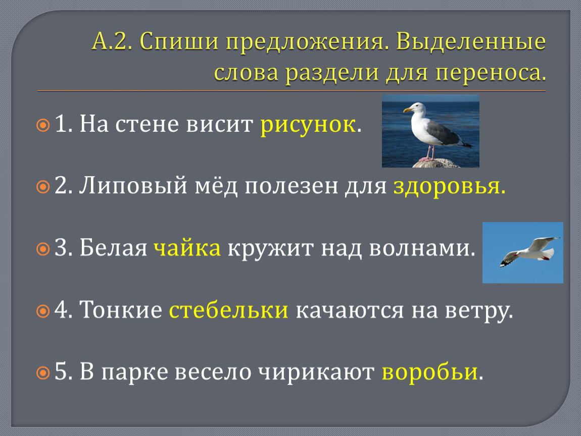 Презентация по русскому языку по теме 