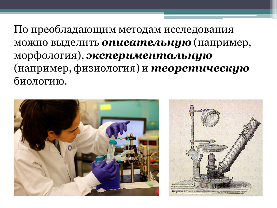 Запишите методы исследования в. Экспериментальная морфология. Преобладающие методы исследования. Преобладающим методам исследования. Описательные методы химии.