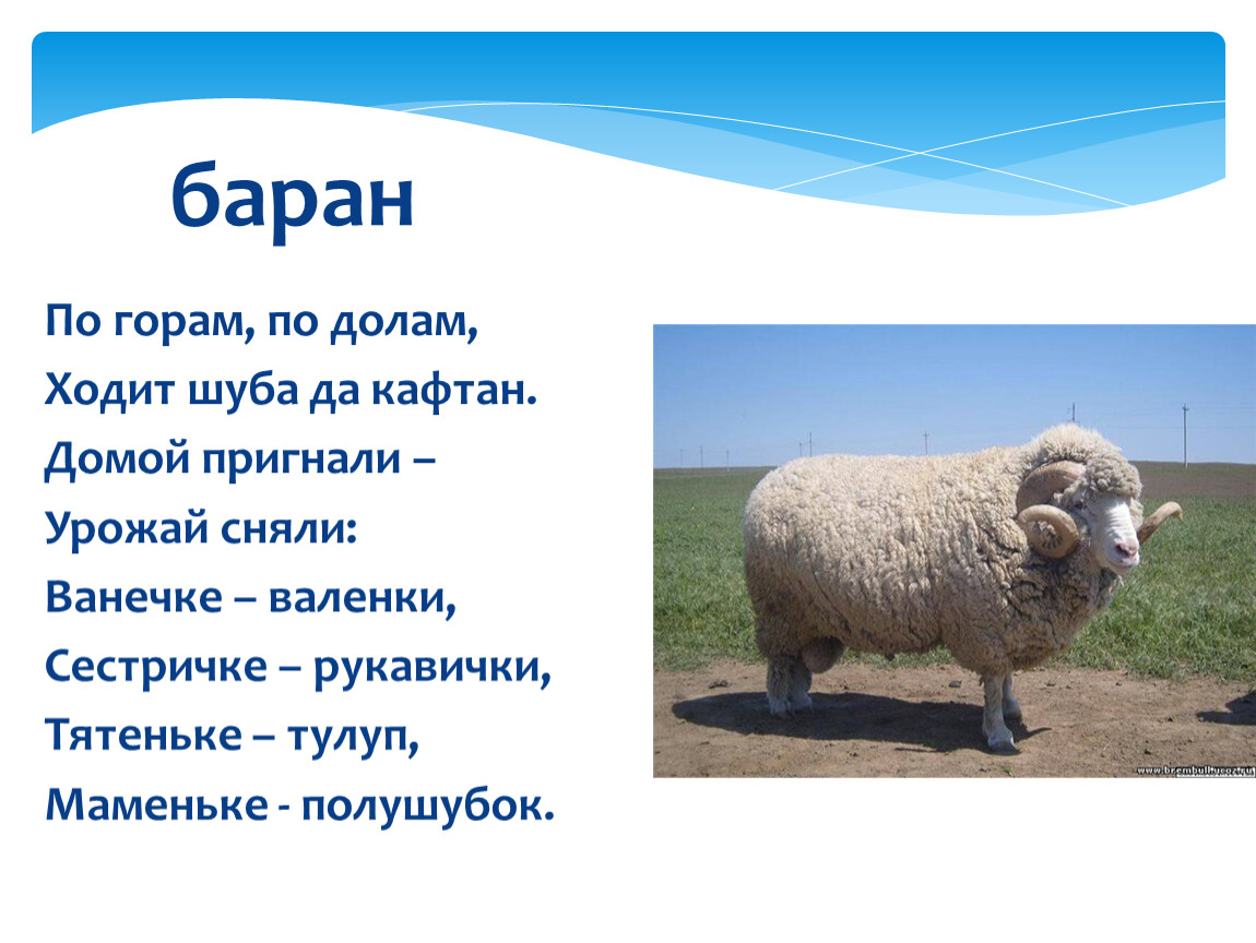 Загадка по горам по долам ходит. По горам по долам ходит. По горам по долам ходит шуба да кафтан ответ. По горам по долам ходит стих. Отгадка на загадку по горам по долам ходит шуба и кафтан.