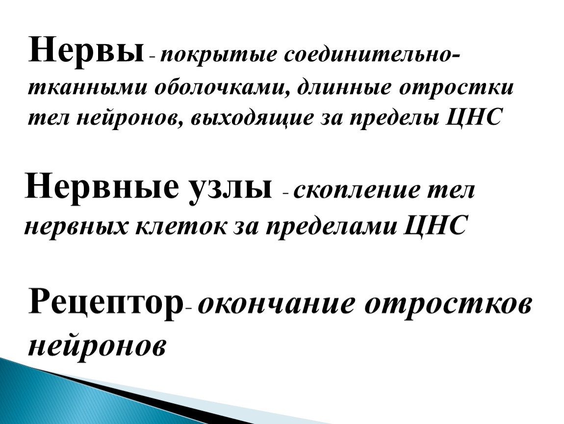 Тело нейрона лежит за пределами цнс. Длинные отростки тел нейронов выходящие за пределы ЦНС называются. Скопление тел нейронов в ЦНС. За пределы ЦНС не выходят Нейроны. Скопление нервных клеток за пределами центральной нервной системы.