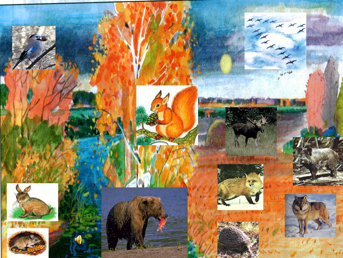 картинки животные осенью для детского сада