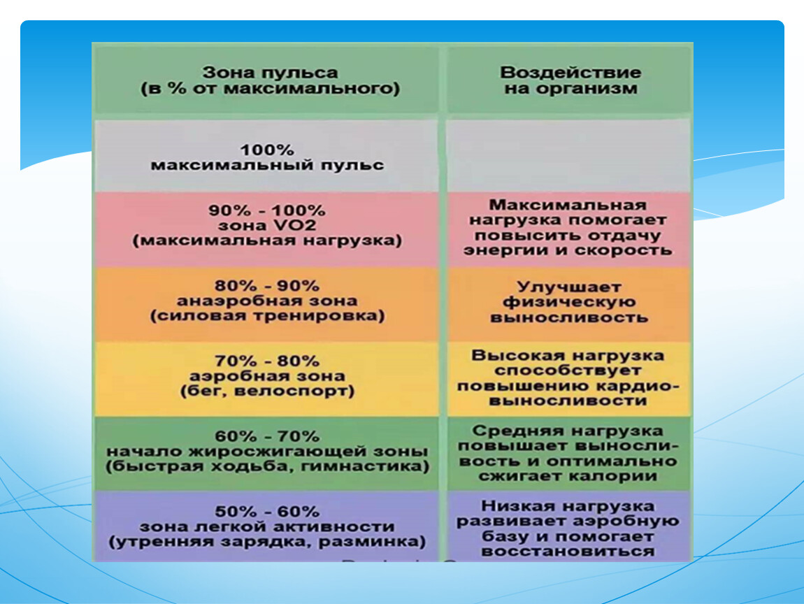 Презентация 