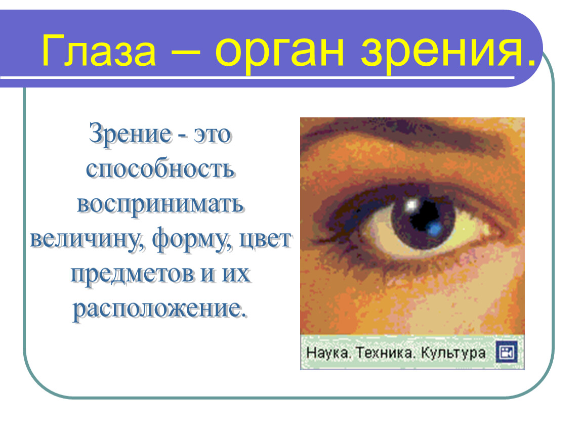 Проект органы чувств 3 класс окружающий мир