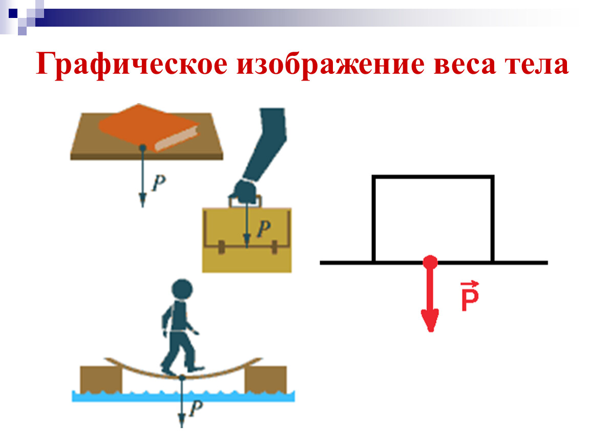 Графическое изображение силы. Графическое изображение силы упругости. Графический рисунок силы упругости. Сила упругости равна весу тела. Точка приложения силы упругости рисунок.