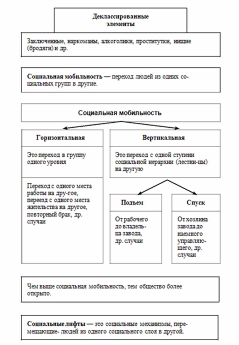 Выборы схема обществознание