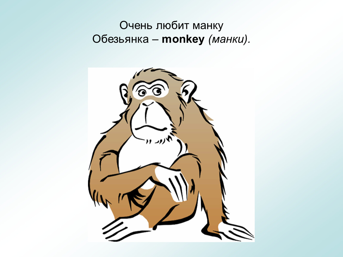 Monkey транскрипция. Обезьяна по английскому языку. Шимпанзе по английскому. Как повюанглийски обезьяна. Обезьяна по английскому с транскрипцией.