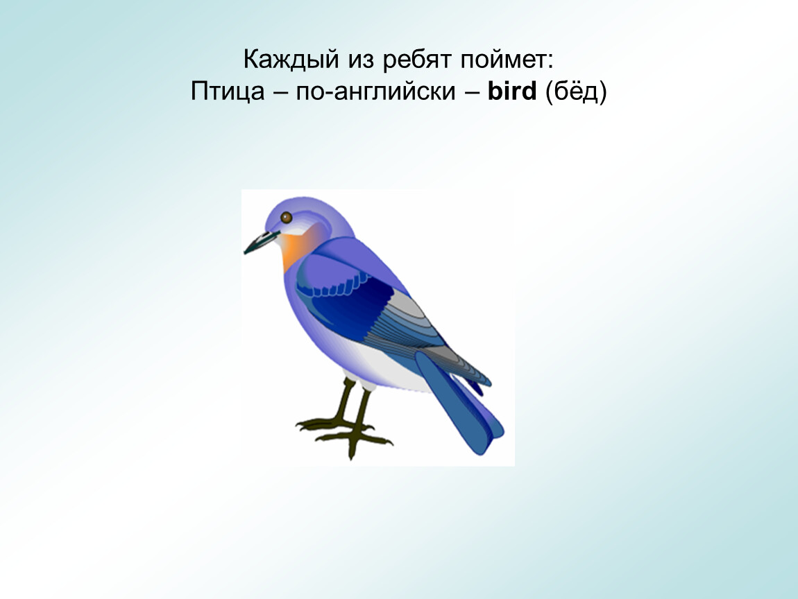 Птичка на русском языке. Птица по английскому. Птица по английскому произношение. Английский с транскрипцией на русском птица. Птица на английском языке с транскрипцией.