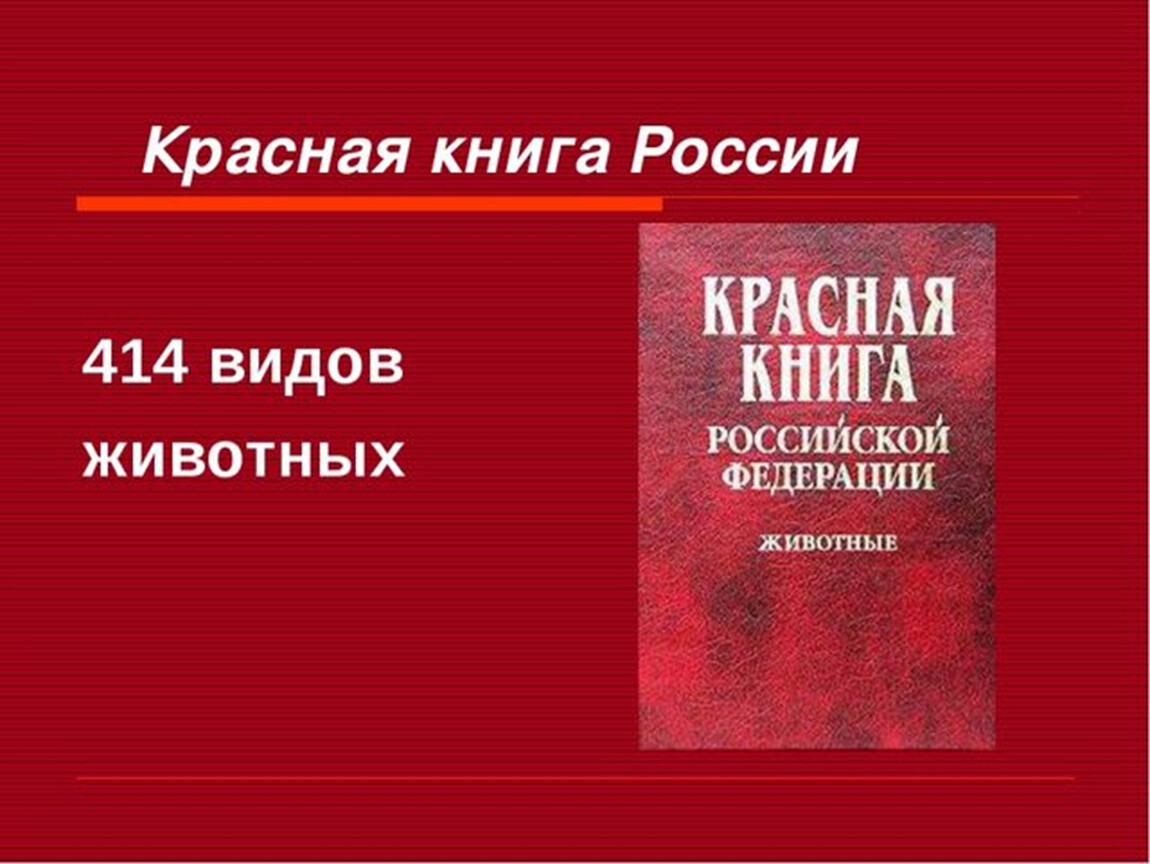 Красная книга какая она. Красная книга. Красный. Красная книга России. Фотография красной книги.