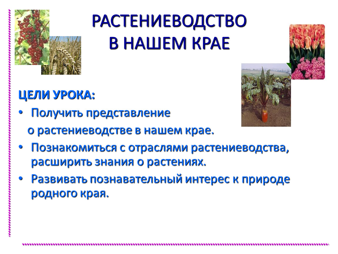 Растениеводство окружающий мир 3 класс конспект урока. Отрасли растениеводства. Интересные факты о растениеводстве. Сообщение о растениеводстве 3 класс окружающий мир. Растениеводство в России таблица.