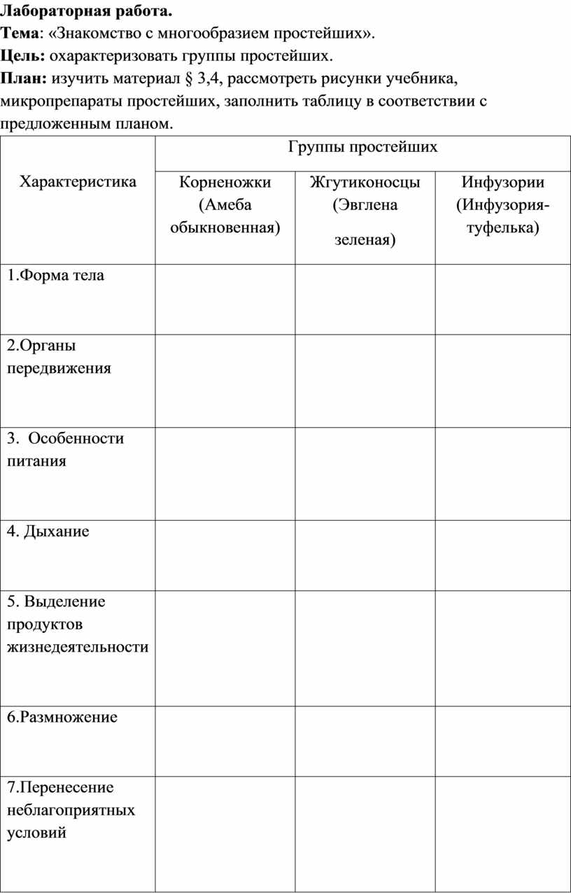 Лабораторная работа по теме 