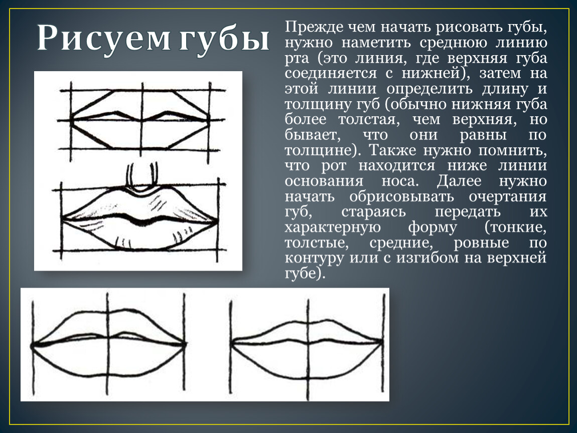 Какая губа темнее верхняя или нижняя в рисунке