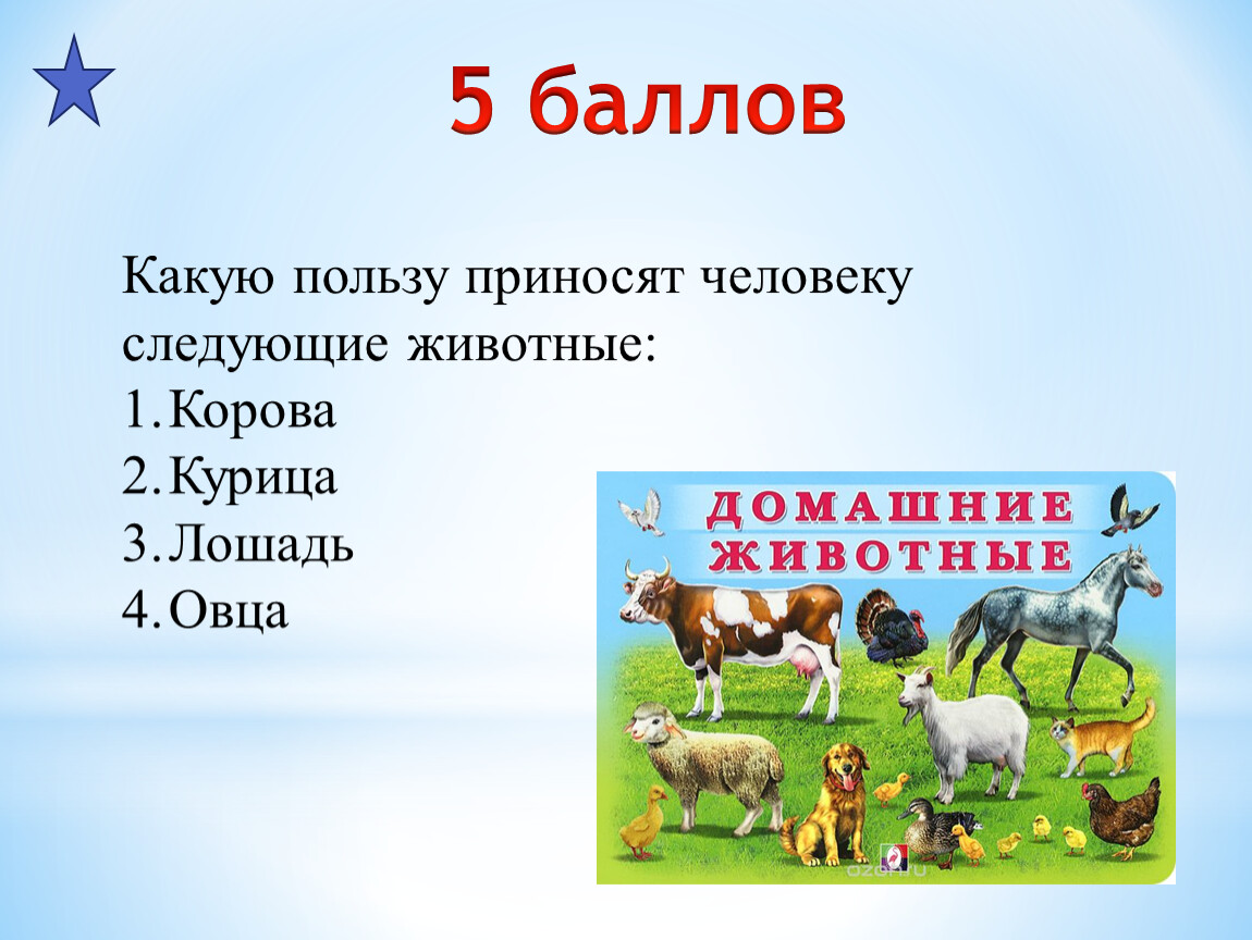 Какую пользу приносит. Какую пользу приносит медведь. Какую пользу приносит медведь человеку. Какие животные приносят пользу природе. Какую пользу эти животные приносят человеку?.