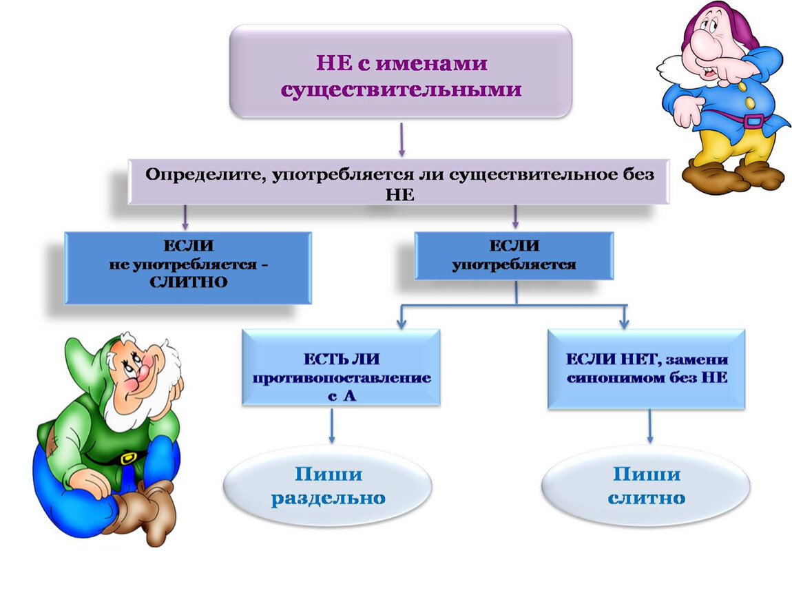 Не с существительными 6 класс презентация