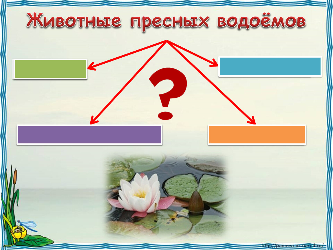 Выбери животных пресного водоема. Укажите растения пресного водоёма.. Пресные водоемы схема. Роль растений в пресных водоемах. Кластер жизнь в пресных Водах.