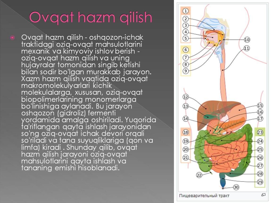 Ko z nurini asrashga oid tavsiyalar