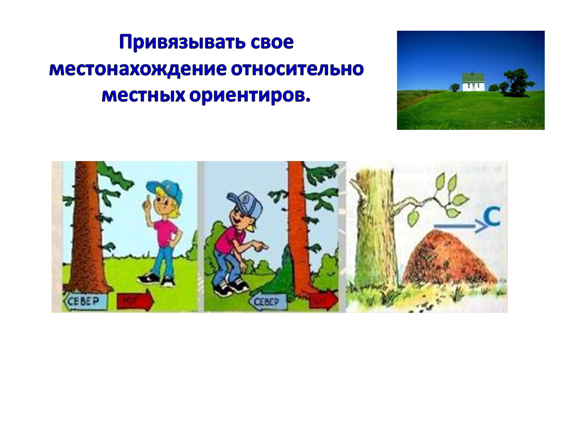 Природные признаки ориентирования на местности. Ориентир картинка. Картинка ценные ориентиры. Смена ориентира картинки.