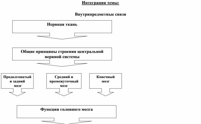 Интеграция темы: Внутрипредметные связи