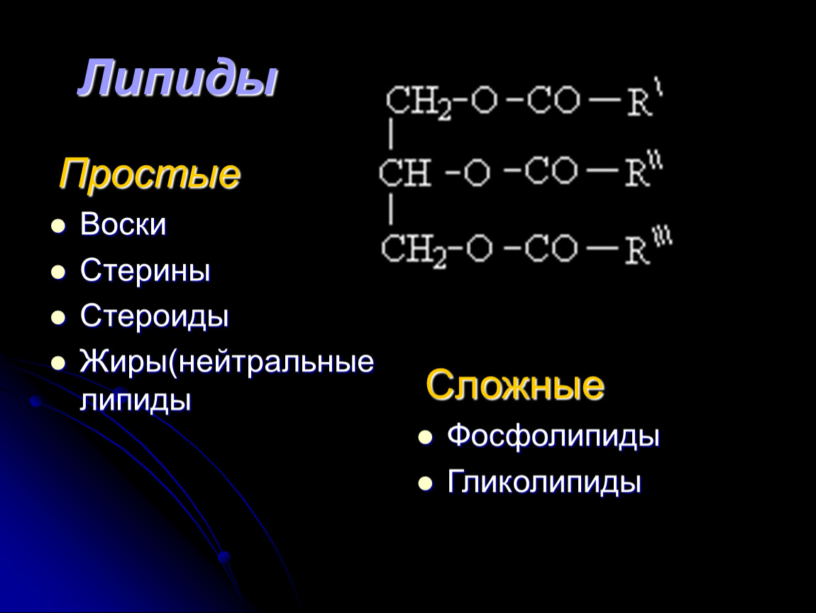 Простые липиды жиры. Липиды жиры стероиды фосфолипиды. Липиды жиры воски фосфолипиды. Нейтральные липиды – жиры и воски. Жиры фосфолипиды стероиды воски функции.